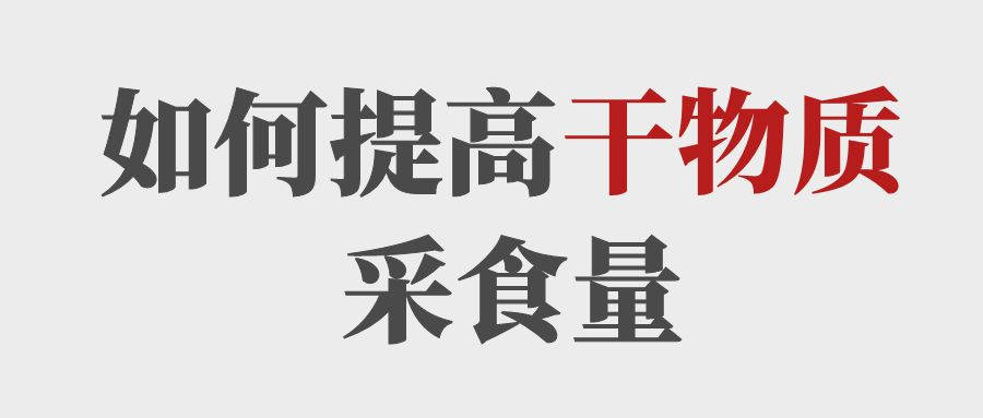 做到這5點(diǎn)提高育肥牛的干物質(zhì)采食量！